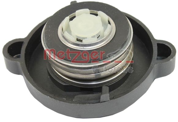 Buson vas expansiune METZGER 2140054